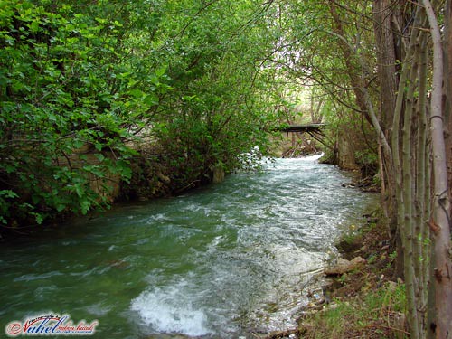 Barada River, in syria, nahel abou htab
